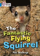 The Fantastic Flying Squirrel: Band 04/Blue