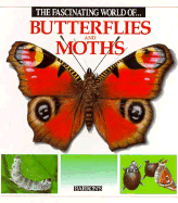 The Fascinating World of Butterflies - Julivert, Maria Angels, and Marcel Socias Studio (Illustrator), and Arridondo, F (Illustrator)