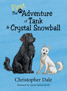 The First Adventure of Tank & Crystal Snowball