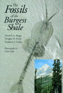 The Fossils of the Burgess Shale - Briggs, Derek E G, and Erwin, Douglas H, Professor, and Collier, Frederick J