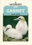 The Gannet - Nelson, Bryan