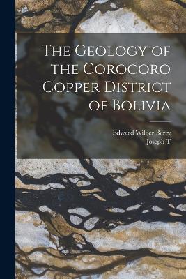 The Geology of the Corocoro Copper District of Bolivia - Berry, Edward Wilber, and Singewald, Joseph T 1884-1963