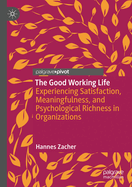 The Good Working Life: Experiencing Satisfaction, Meaningfulness, and Psychological Richness in Organizations