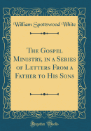 The Gospel Ministry, in a Series of Letters from a Father to His Sons (Classic Reprint)