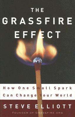 The Grassfire Effect: How One Small Spark Can Change Your World - Elliott, Steve