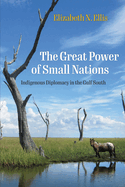 The Great Power of Small Nations: Indigenous Diplomacy in the Gulf South