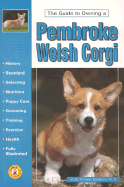 The Guide to Owning a Pembroke Welsh Corgi
