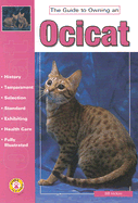 The Guide to Owning an Ocicat
