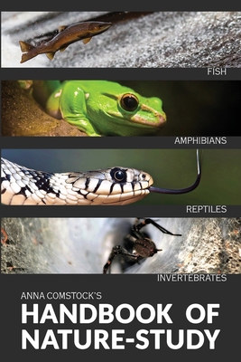 The Handbook Of Nature Study in Color - Fish, Reptiles, Amphibians, Invertebrates - Comstock, Anna