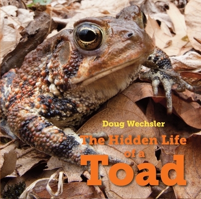 The Hidden Life of a Toad - Wechsler, Doug (Photographer)