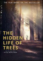 The Hidden Life of Trees