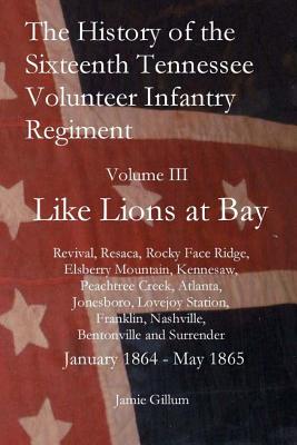 The History of the Sixteenth Tennessee Volunteer Infantry Regiment: Like Lions at Bay - Gillum, Jamie