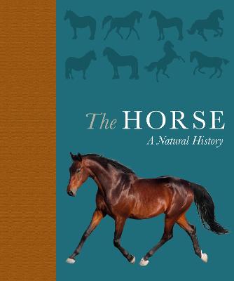 The Horse: A natural history - Busby, Debbie, and Rutland, Catrin