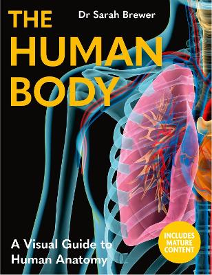 The Human Body: A Visual Guide to Human Anatomy - Sarah Brewer, Dr