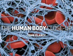 The Human Body Close-up