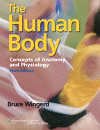 The Human Body: Concepts of Anatomy and Physiology