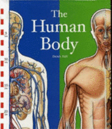 The Human Body