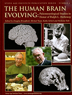 The Human Brain Evolving