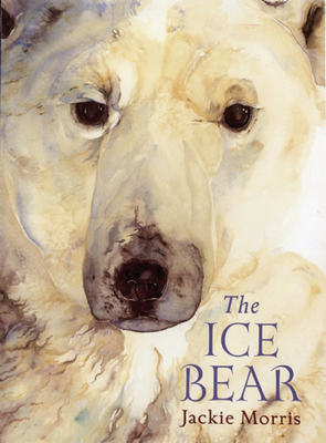The Ice Bear - 
