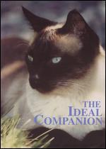 The Ideal Companion: A Guide to Choosing the Perfect Cat