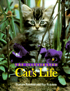 The Illustrated Cat's Life