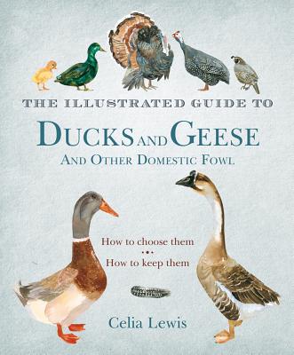 The Illustrated Guide to Ducks and Geese and Other Domestic Fowl: How to Choose Them - How to Keep Them - Lewis, Celia