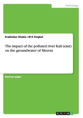 The impact of the polluted river Kali (east) on the groundwater of Meerut - Shukla, Prabhakar, and Singhal, M K