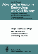 The Infundibular Cerebrospinal-Fluid Contacting Neurons