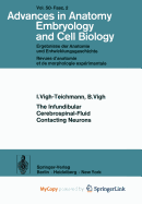 The Infundibular Cerebrospinal-Fluid Contacting Neurons