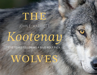 The Kootenay Wolves: Five Years Following a Wild Wolf Pack - Marriott, John E.