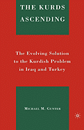 The Kurds Ascending: The Evolving Solution to the Kurdish Problem in Iraq and Turkey