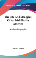 The Life And Struggles Of An Irish Boy In America: An Autobiography