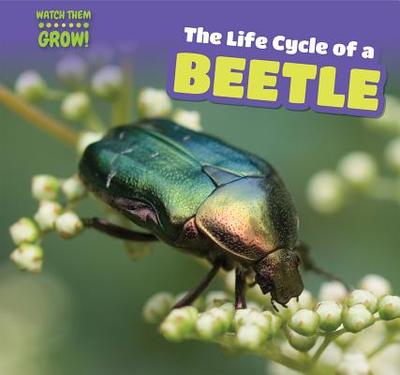 The Life Cycle of a Beetle - McKinnon, Elaine