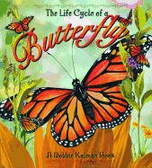 The Life Cycle of a Butterfly