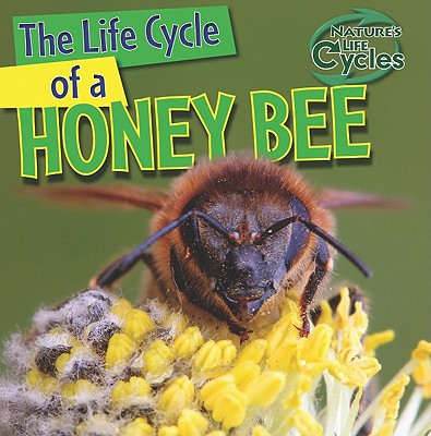 The Life Cycle of a Honeybee - Linde, Barbara M