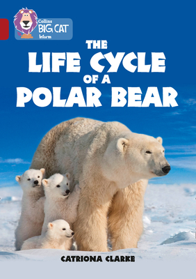 The Life Cycle of a Polar Bear: Band 14/Ruby - Clarke, Catriona, and Collins Big Cat (Prepared for publication by)