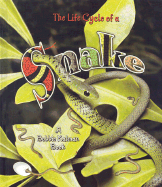 The Life Cycle of a Snake
