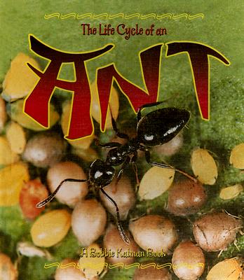 The Life Cycle of an Ant - Dyer, Hadley