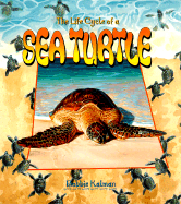 The Life Cycle of the Sea Turtle