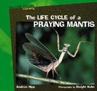 The Life Cycles of a Praying Mantis