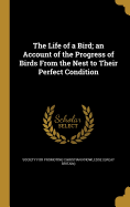 The Life of a Bird; an Account of the Progress of Birds From the Nest to Their Perfect Condition
