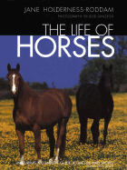 The Life of Horses