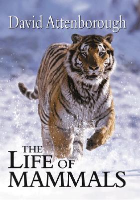 The Life of Mammals - Attenborough, David, Sir
