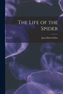 The Life of the Spider