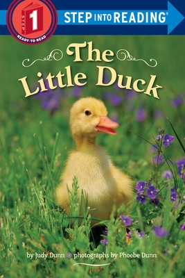 The Little Duck - Dunn, Judy