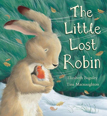 The Little Lost Robin - Baguley, Elizabeth