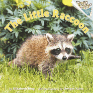 The Little Raccoon