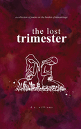 The Lost Trimester