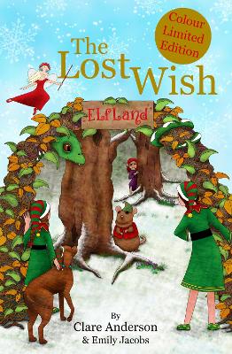 The Lost Wish - Anderson, Clare, and Jacobs, Emily