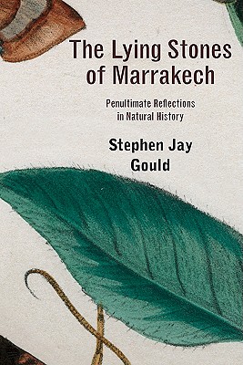 The Lying Stones of Marrakech: Penultimate Reflections in Natural History - Gould, Stephen Jay